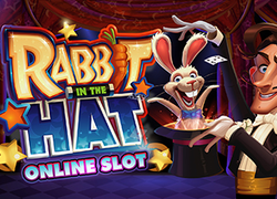 Rabbit in The Hat