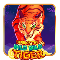 Year of The Wild Wild Tiger